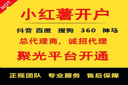 SEO与SEM实战案例：提升品牌知名度